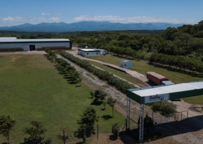 DJI_0017-1200