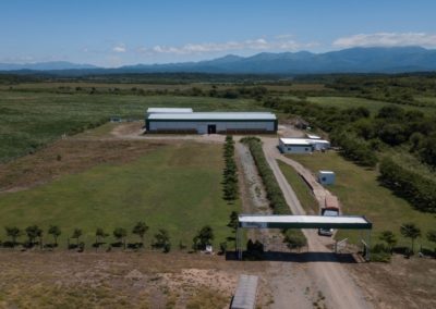 DJI_0025-1200